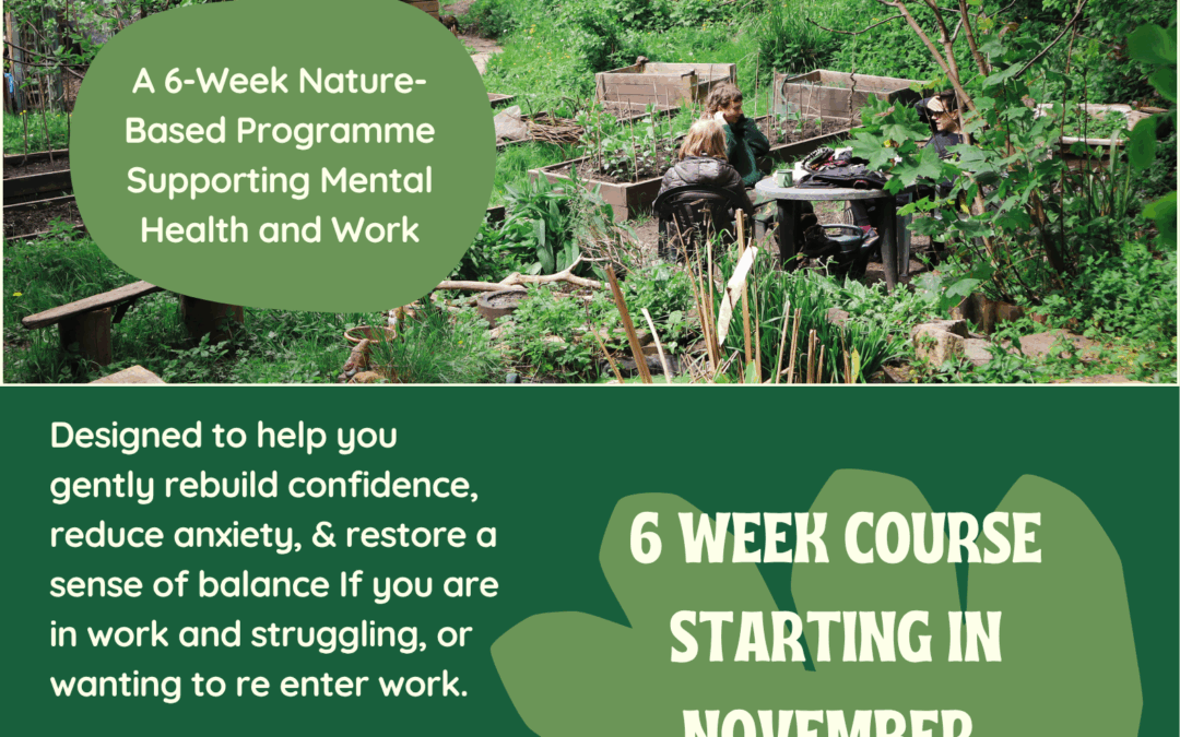 The Nature Connection, new course